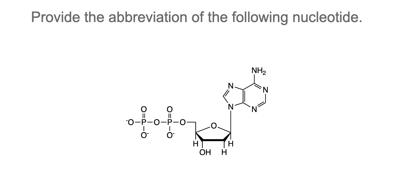 Solved Provide the abbreviation of the following nucleotide. | Chegg.com