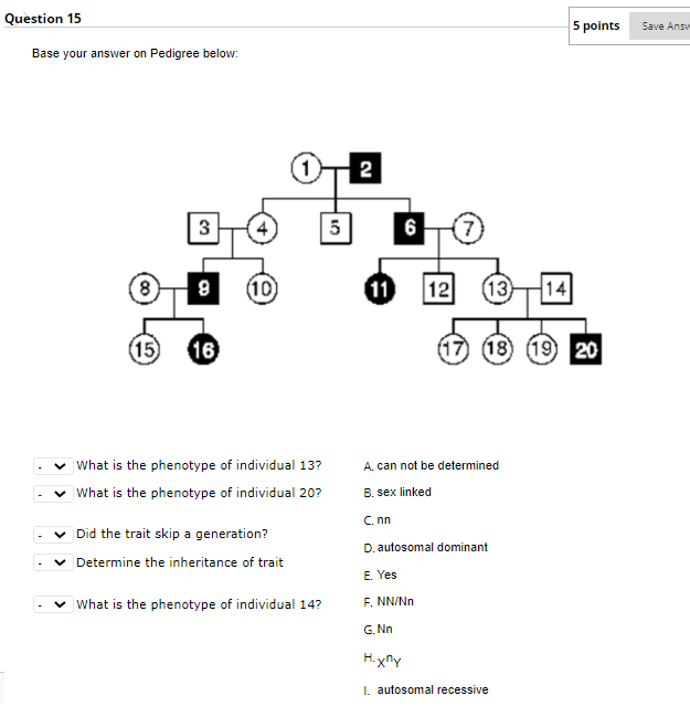 Solved Question 15 5 points Save Ansv Base your answer on | Chegg.com
