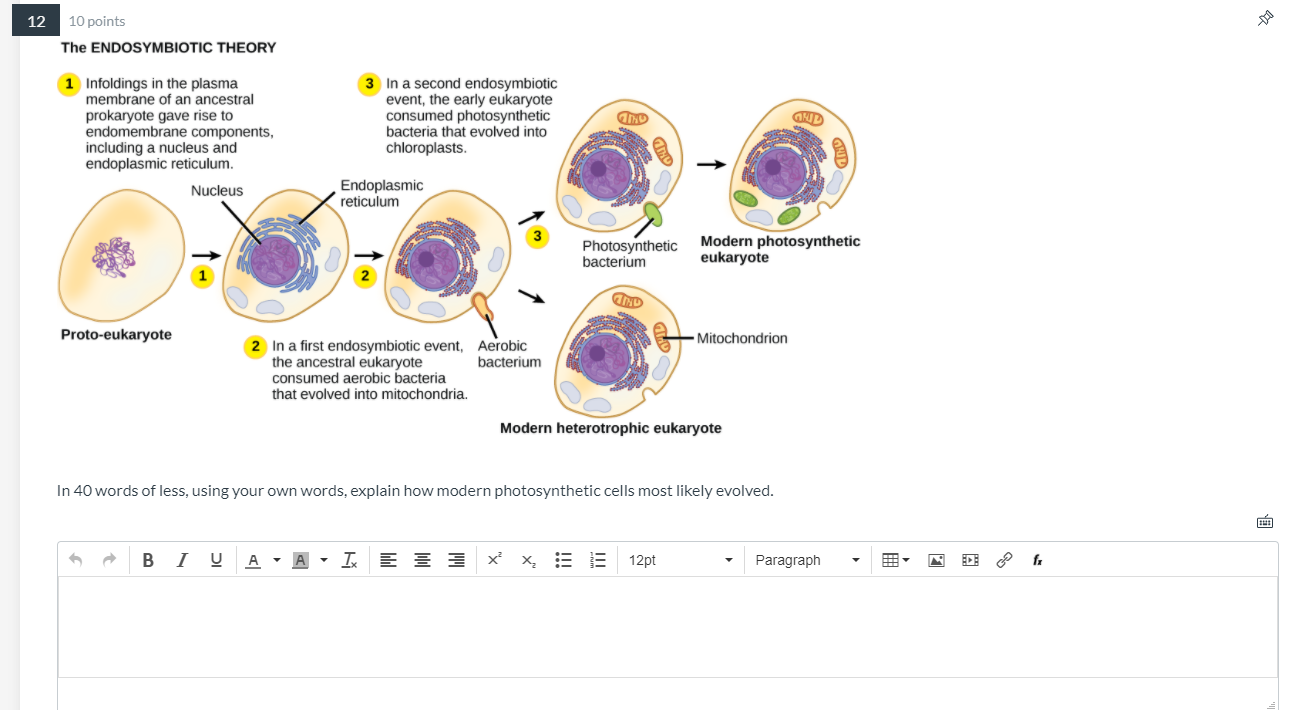 Solved 12 10 points The ENDOSYMBIOTIC THEORY In a second | Chegg.com