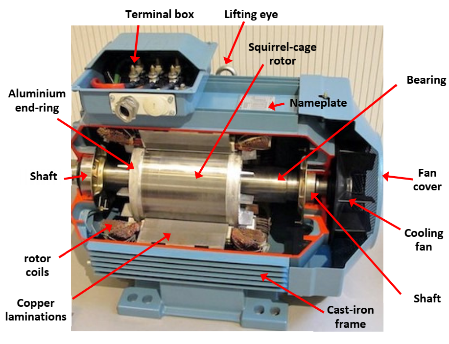 Solved A typical 3-phase Induction Machine is shown below. | Chegg.com