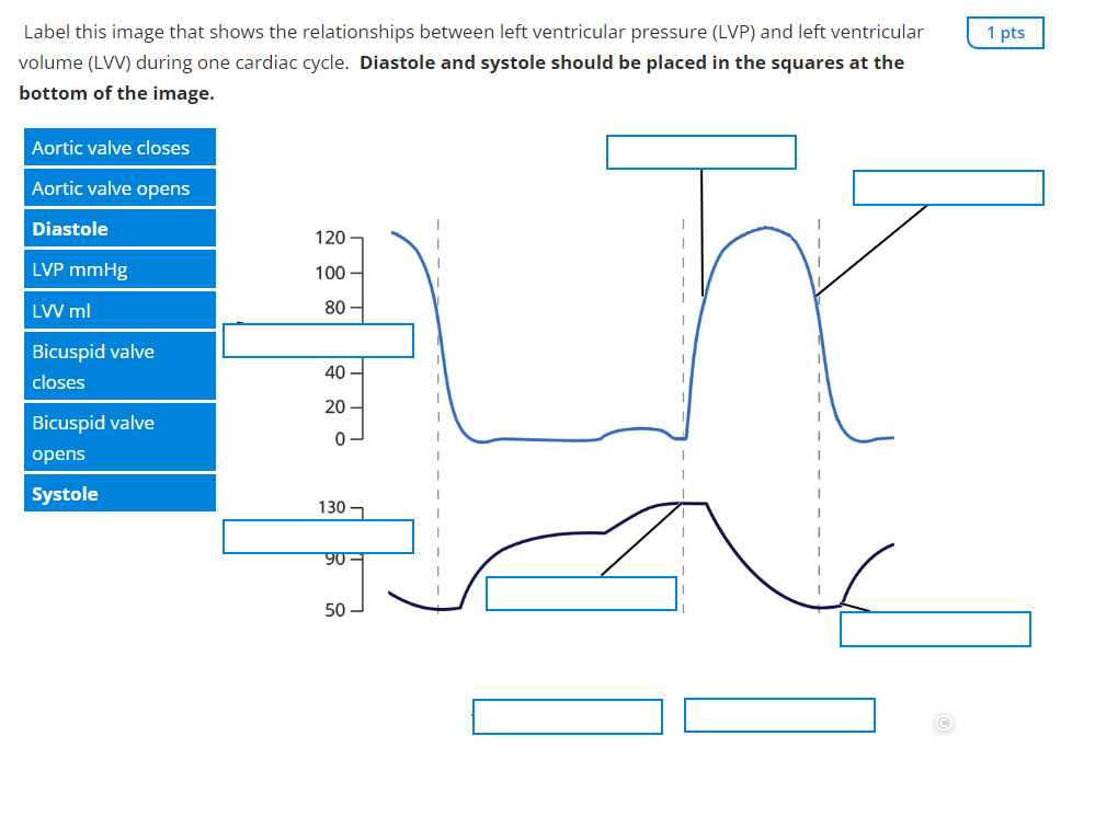Solved Label this image that shows the relationships between | Chegg.com