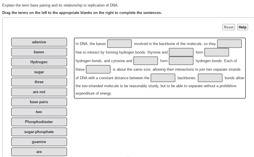 solved-explain-the-term-base-pairing-and-its-relationship-to-chegg