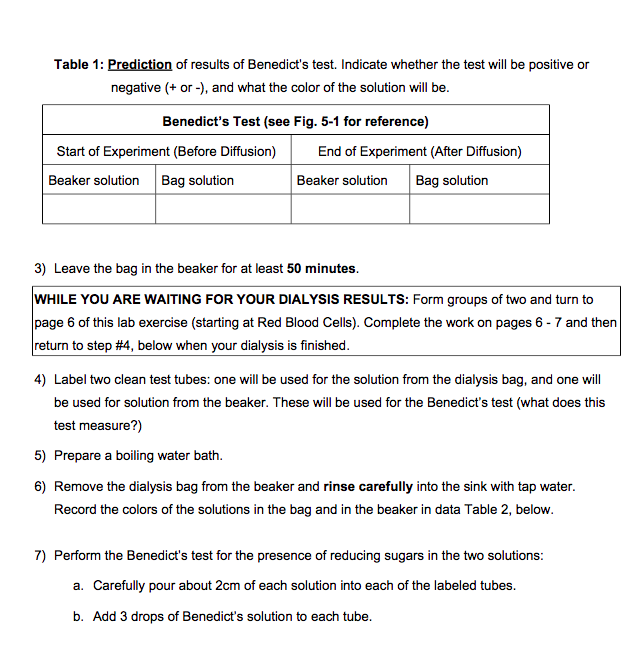 Biology Cell Lab Passive transport through membranes