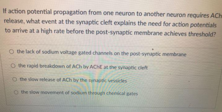 Solved If Action Potential Propagation From One Neuron To | Chegg.com