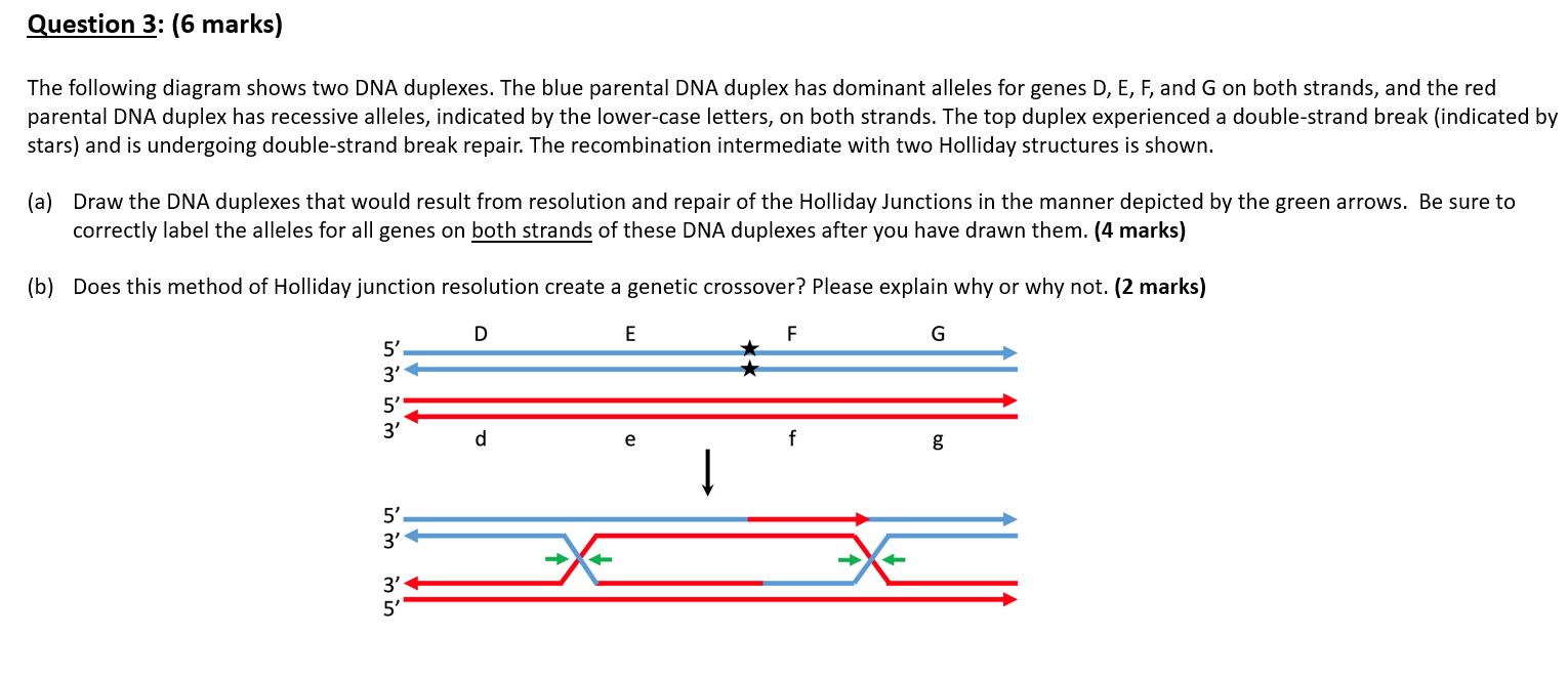 Solved Question 3 6 Marks The Following Diagram Shows Two Chegg Com