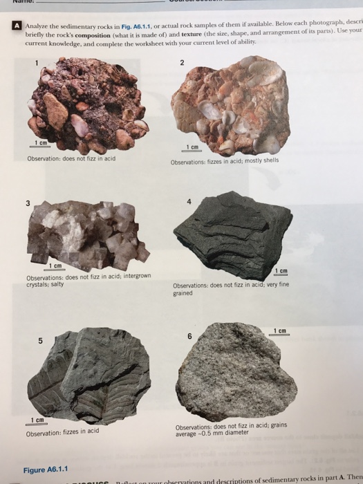 Solved: Analyze The Sedimentary Rocks In Fig. A6.1.1, Or A... | Chegg.com