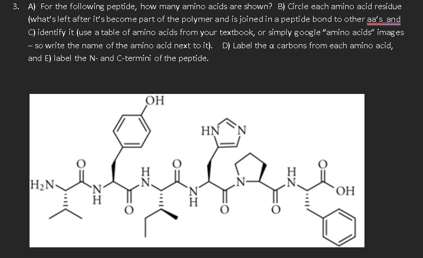 Solved 3. A) For the following peptide, how many amino acids | Chegg.com