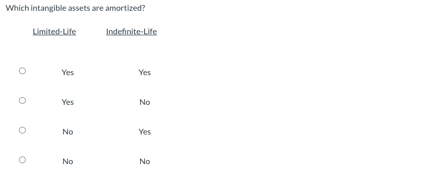 Which Intangible Assets Are Amortized Limited Life Indefinite Life