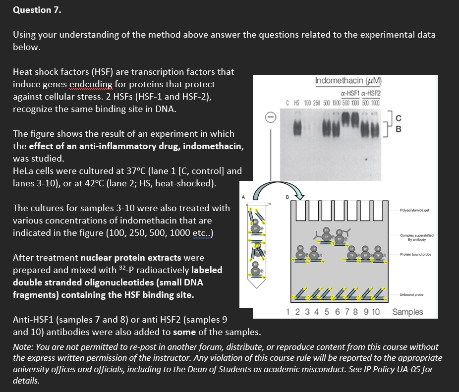 Using your understanding of the method above answer