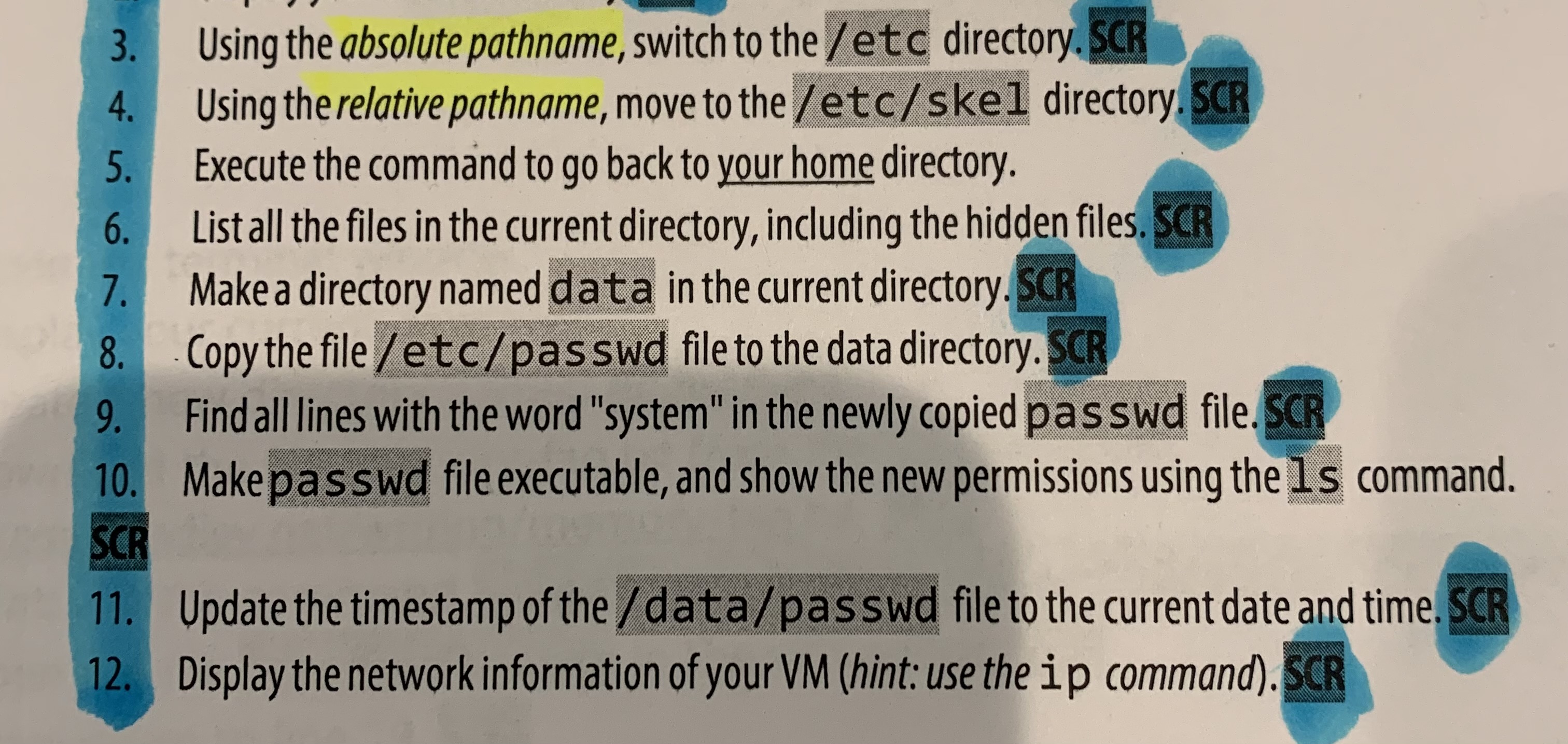 Solved 3. Using the absolute pathname switch to the etc Chegg