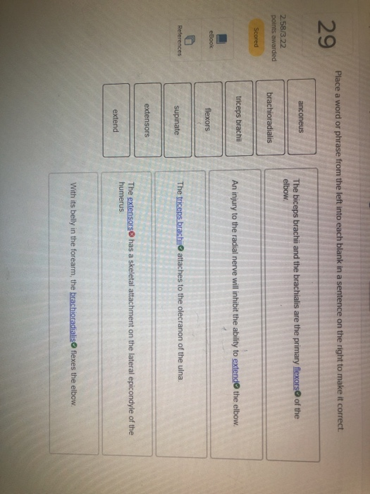 Solved Place a word or phrase from the left into each blank