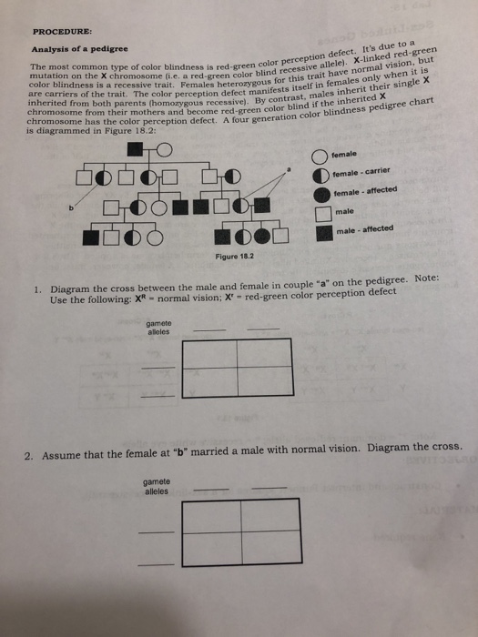 Color Blindness Pedigree Chart BLINDS
