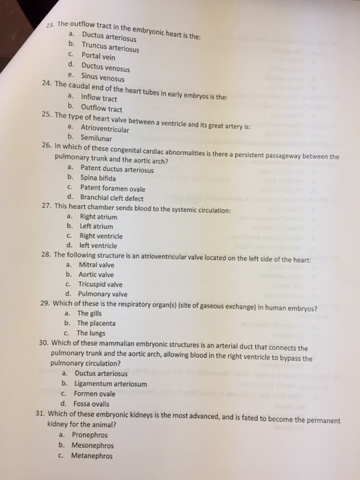 Solved 23. The outflow tract in the embryonic heart is the: | Chegg.com
