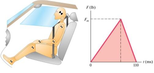 Solved Before designing a prototype seat belt to be | Chegg.com