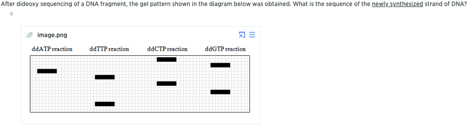 Solved After dideoxy sequencing of a DNA fragment, the gel | Chegg.com