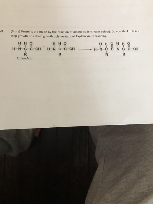 Solved 2) (6 pts) Proteins are made by the reaction of amino | Chegg.com
