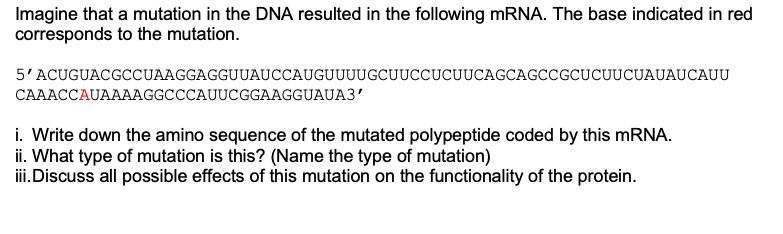 Solved Imagine that a mutation in the DNA resulted in the | Chegg.com
