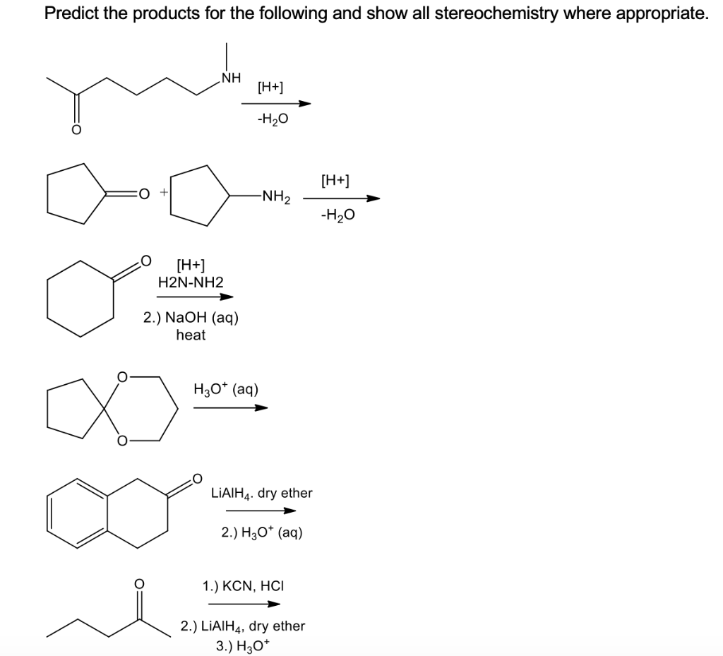 Solved Predict the products for the following and show all | Chegg.com