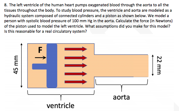 Solved 8. The left ventricle of the human heart pumps | Chegg.com
