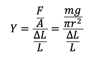 Solved The Young's modulus: As you can see from various | Chegg.com