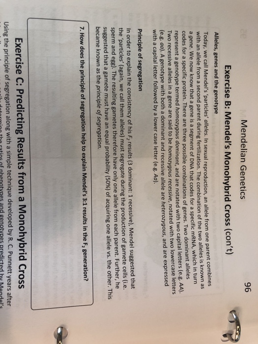 Solved Mendelian Genetics 95 Exercise B: Mendel's Monohybrid | Chegg.com