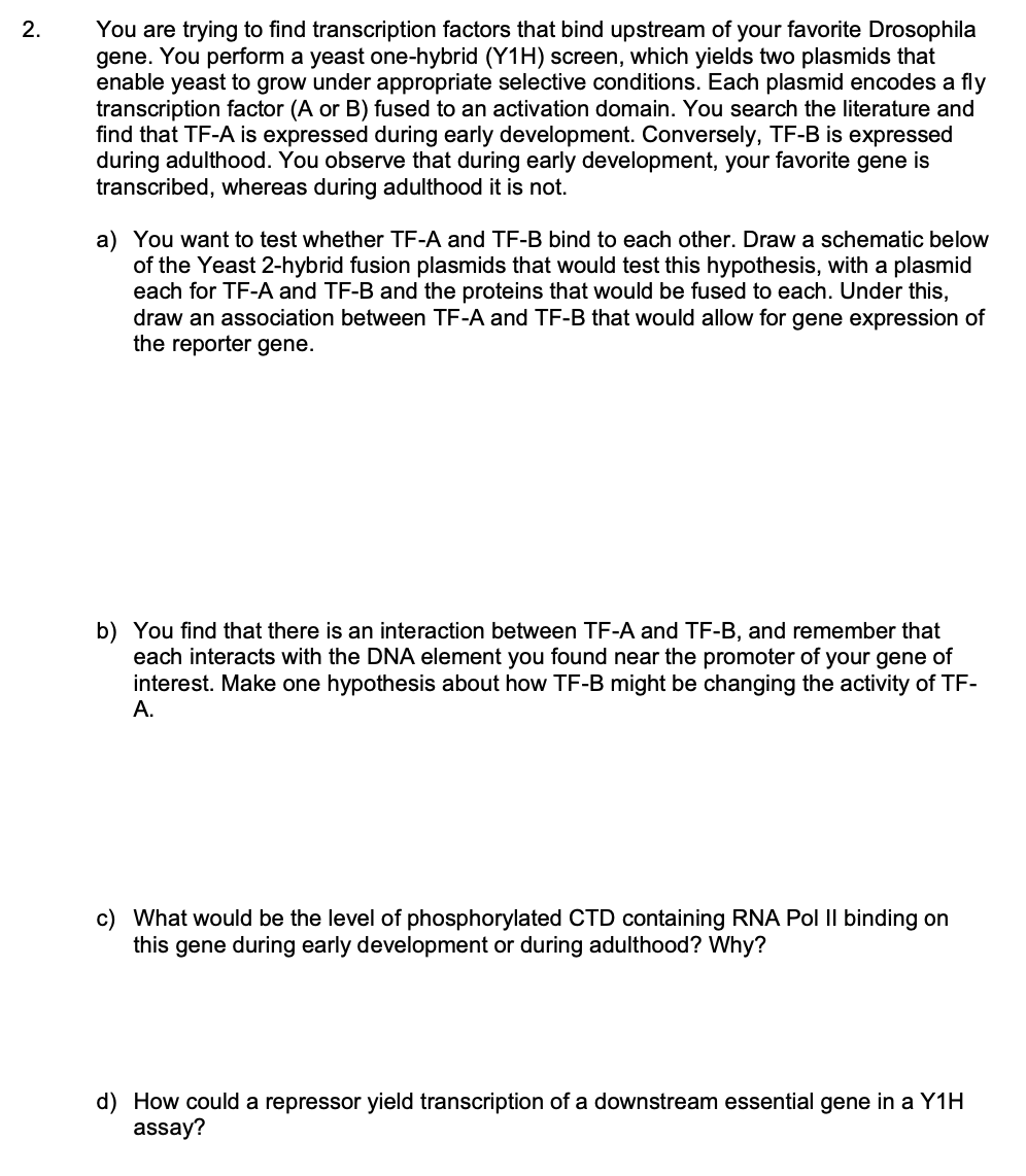 Solved You are trying to find transcription factors that | Chegg.com