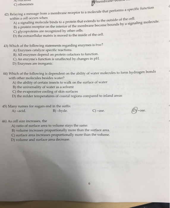 Relaying a Message From a Receptor Protein to a Molecule