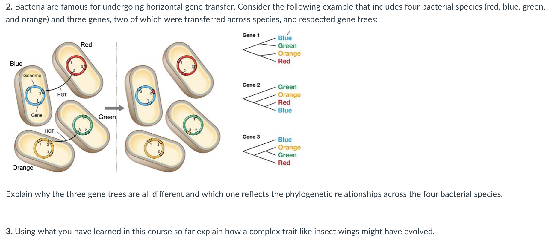 2. Bacteria are famous for undergoing horizontal gene transfer. Consider the following example that includes four bacterial s