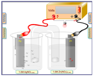 Solved What is the Eocell of the galvanic cell using zinc | Chegg.com