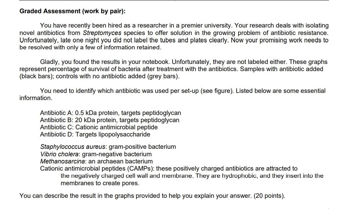 Plates Night - What you NEED to Know