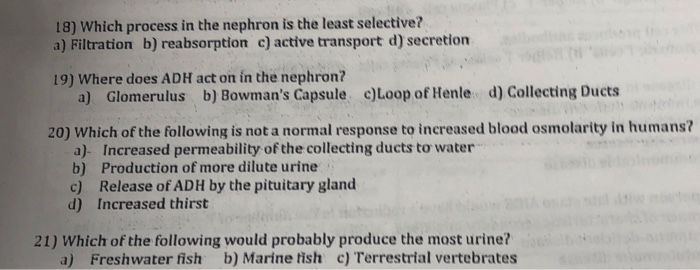 Solved 18) Which process in the nephron is the least | Chegg.com