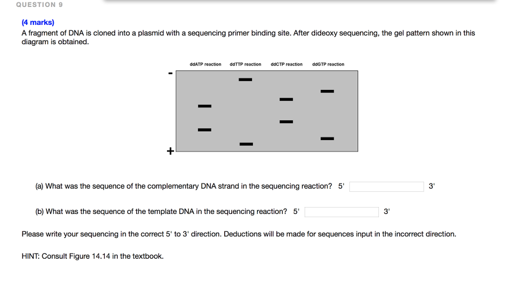 Solved QUESTION 6 3 marks) You are interested in a | Chegg.com