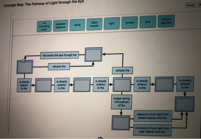 how-the-eye-focuses-light-science-learning-hub