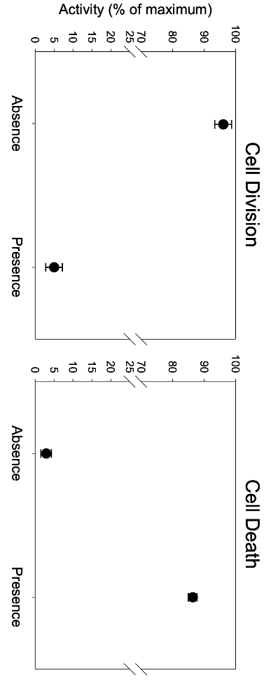 Figure 5. The relative activity of cell division and | Chegg.com