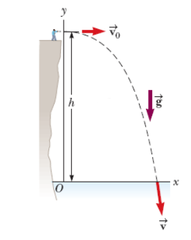 Solved A person stands at the edge of a cliff and throws a | Chegg.com