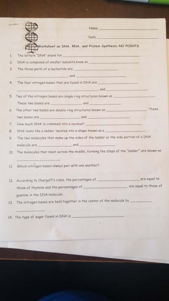 Solved Name Date Worksheet on DNA, RNA, and Protein | Chegg.com