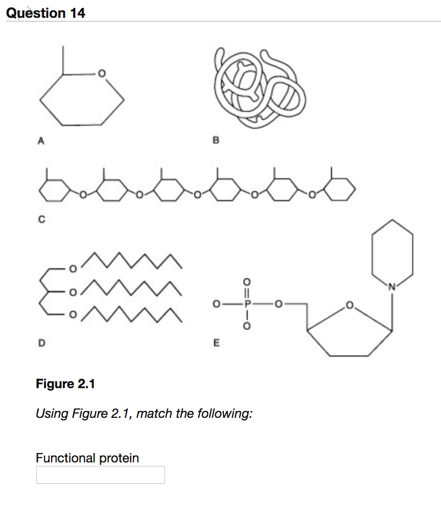 functional-protein-diagram