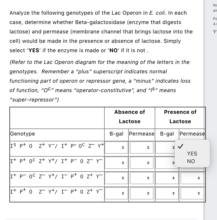 Solved Normal function of the lac operon means that the cell