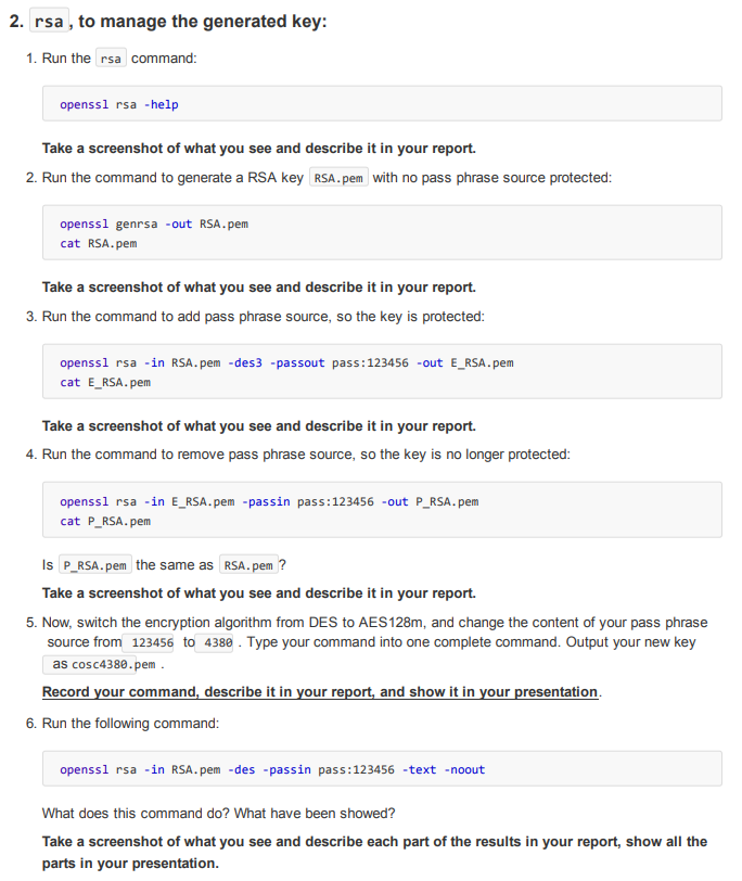 Solved Assignment 3 RSA key with OpenSSL command line (15