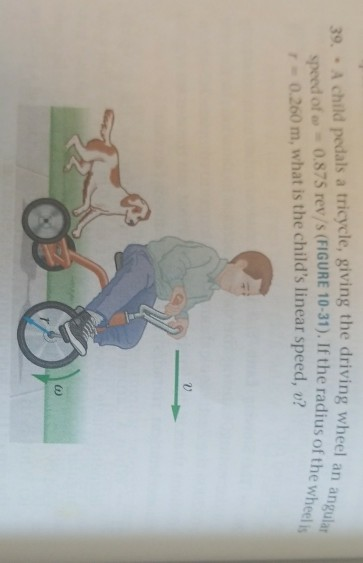 Solved 39. A child pedals a tricycle, giving the driving | Chegg.com
