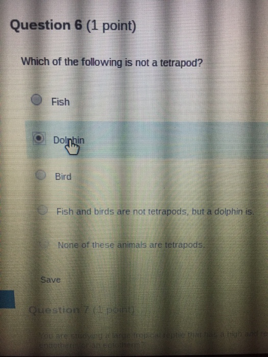 Solved Which of the following is not a tetrapod? Fish | Chegg.com