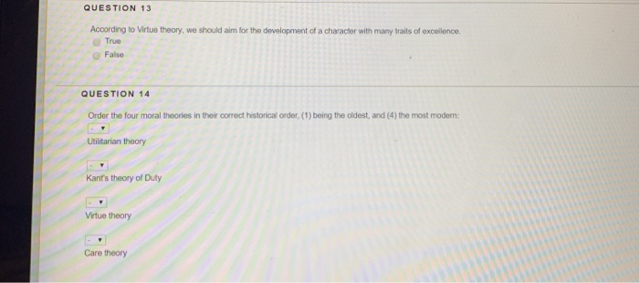 Solved QUESTION 13 According to Virtue theory, we should aim | Chegg.com