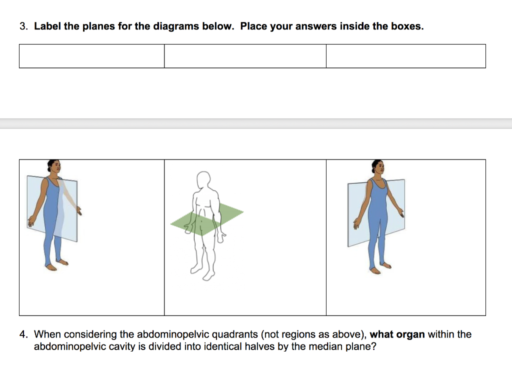 Solved 3. Label the planes for the diagrams below. Place | Chegg.com