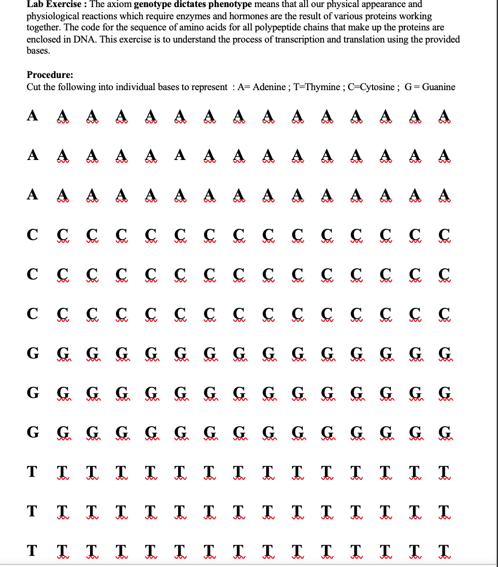 Cut The Following Into Individual Bases To Represent Chegg Com