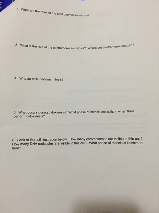 Solved 1. What is the basic structure of all proteins? 2. at | Chegg.com