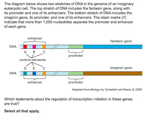 Solved The diagram below shows two stretches of DNA in the | Chegg.com