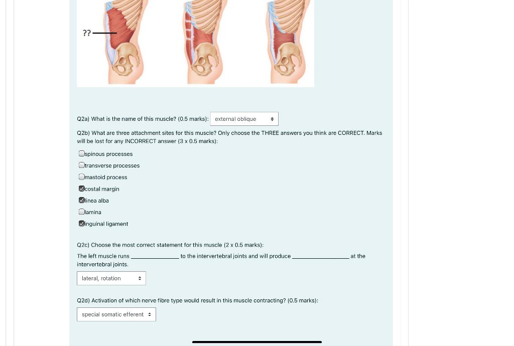 Solved Please answer all questions based on diagrams below . | Chegg.com