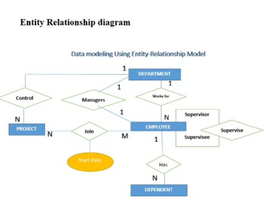 Entity Relationship diagram Data modeling Using | Chegg.com