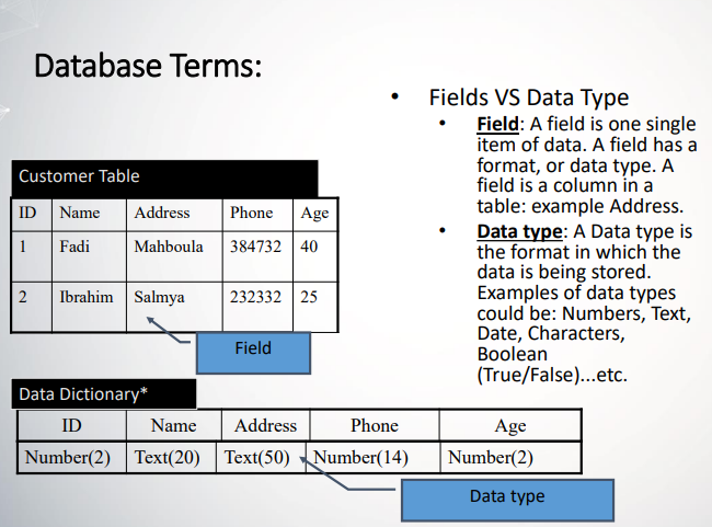 What Content Should Be Included In A Data Dictionary