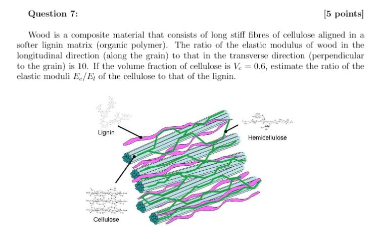 lignin and cellulose